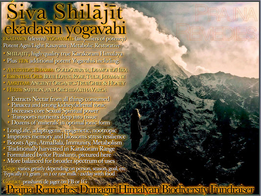 a YOGAVAHI SHILAJIT